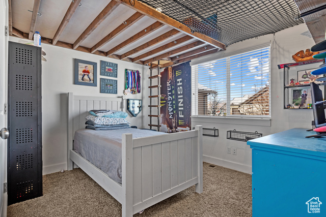 Photo 17 for MLS #2069185 at 1137 S 925 East