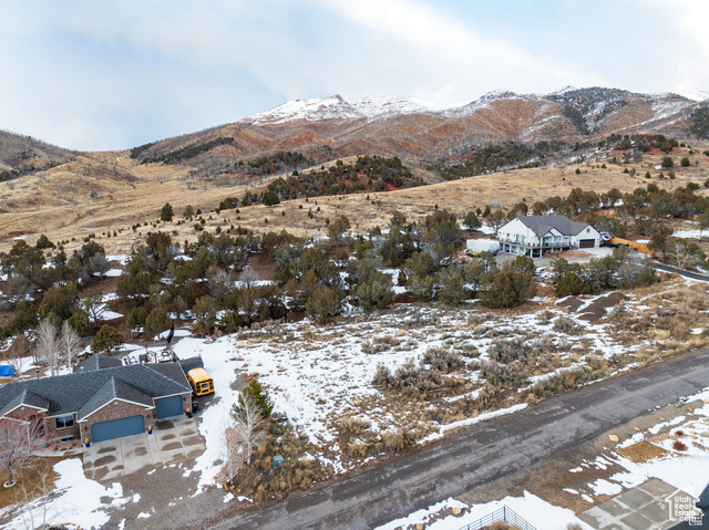 4737 E COUGAR RUN, Birdseye UT 84629