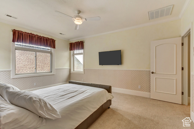 Photo 49 for MLS #2069388 at 196 S Holly Dr