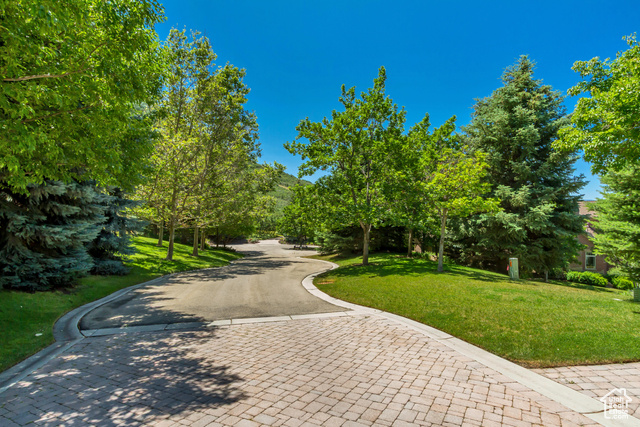 Photo 102 for MLS #2069388 at 196 S Holly Dr