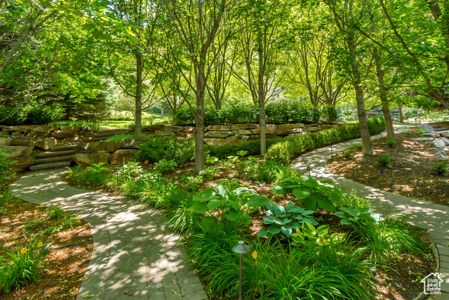 Photo 92 for MLS #2069388 at 196 S Holly Dr
