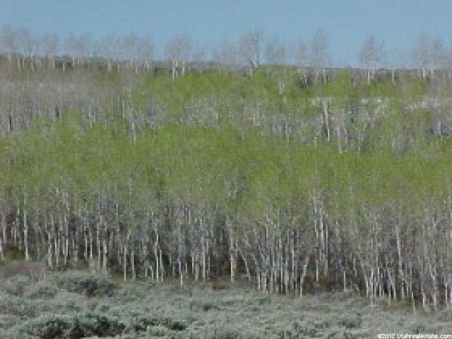 27 Mt View, Fruitland, UT 84027 — photo 2