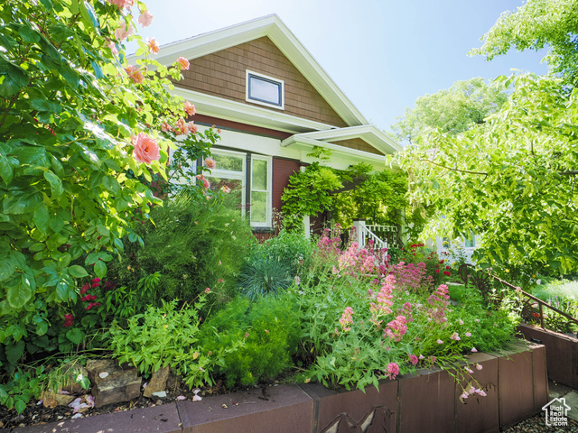 Photo 3 for MLS #2069874 at 258 N J St