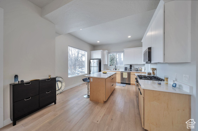 Photo 5 for MLS #2070181 at 869 S Washington St #101