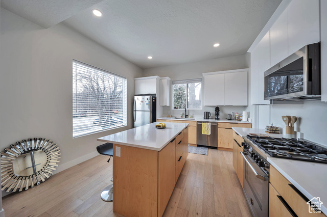 Photo 9 for MLS #2070181 at 869 S Washington St #101