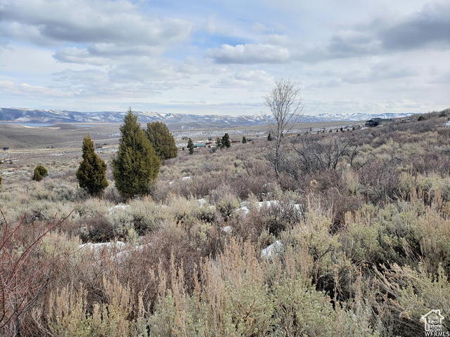 Photo 29 for MLS #2070383 at 833 W Sunrise Cir