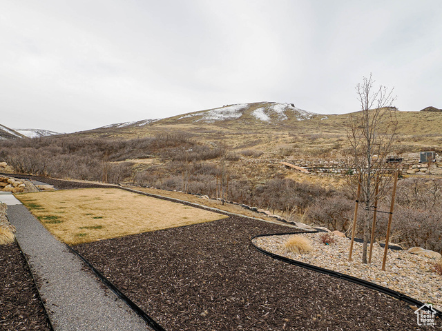 Photo 61 for MLS #2070962 at 15118 S Spring Canyon Dr