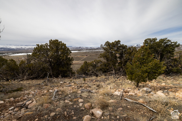 Photo 36 for MLS #2071165 at 46501 W Bandanna Dr