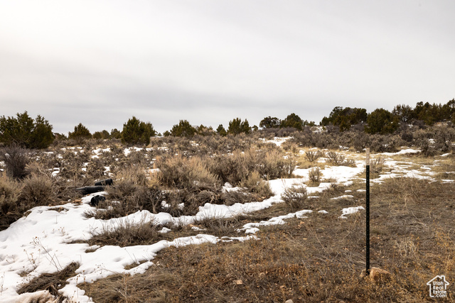 Photo 39 for MLS #2071165 at 46501 W Bandanna Dr