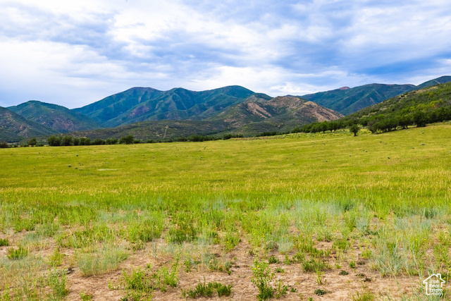 Photo 106 for MLS #2071214 at 8272 Left Fork Hobble Creek Rd