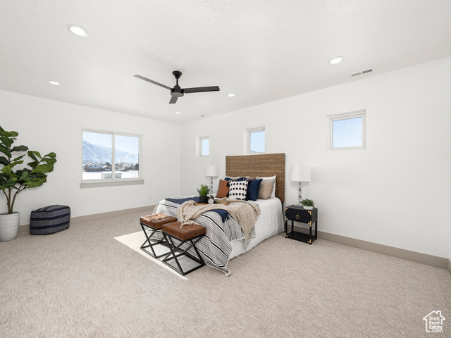 Photo 19 for MLS #2071232 at 4519 N Norfolk Cir