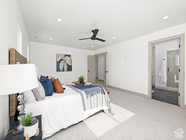 Photo 20 for MLS #2071232 at 4519 N Norfolk Cir