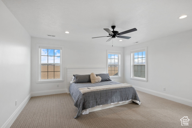Photo 19 for MLS #2071326 at 238 W Founders Blvd