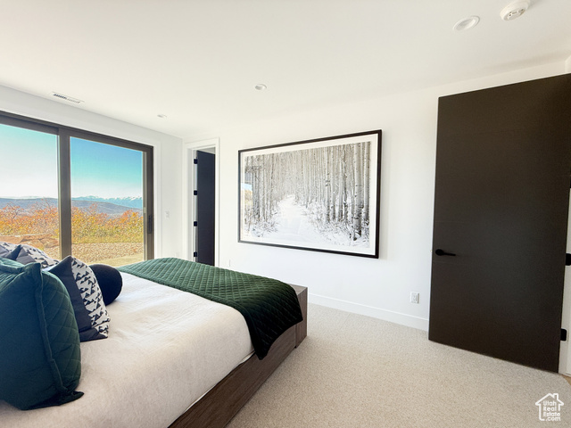 Photo 36 for MLS #2072230 at 2132 E Outlaw Rd #49