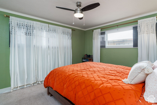Photo 17 for MLS #2072522 at 1305 N Valentine St