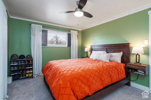 Photo 16 for MLS #2072522 at 1305 N Valentine St
