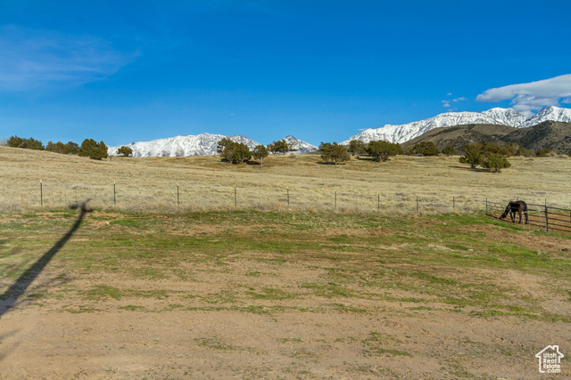 Photo 41 for MLS #2072898 at 16663 S Canyon Rd