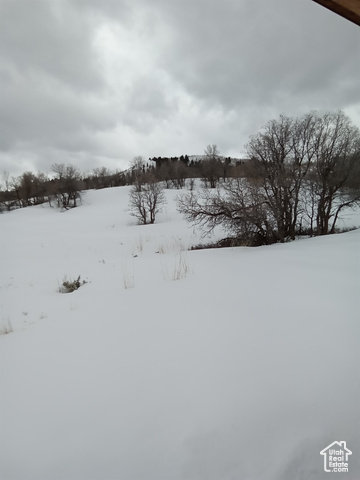 Photo 44 for MLS #2072959 at 2204 S Timber Lakes Dr #945
