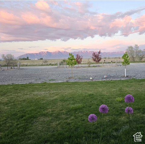 Photo 47 for MLS #2073329 at 841 N Hale St #1