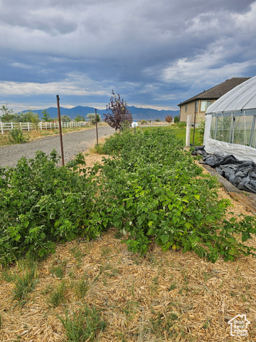 Photo 52 for MLS #2073329 at 841 N Hale St #1