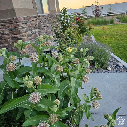 Photo 42 for MLS #2073329 at 841 N Hale St #1