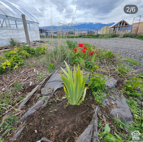 Photo 50 for MLS #2073329 at 841 N Hale St #1