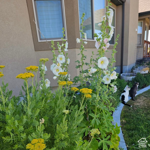 Photo 40 for MLS #2073329 at 841 N Hale St #1