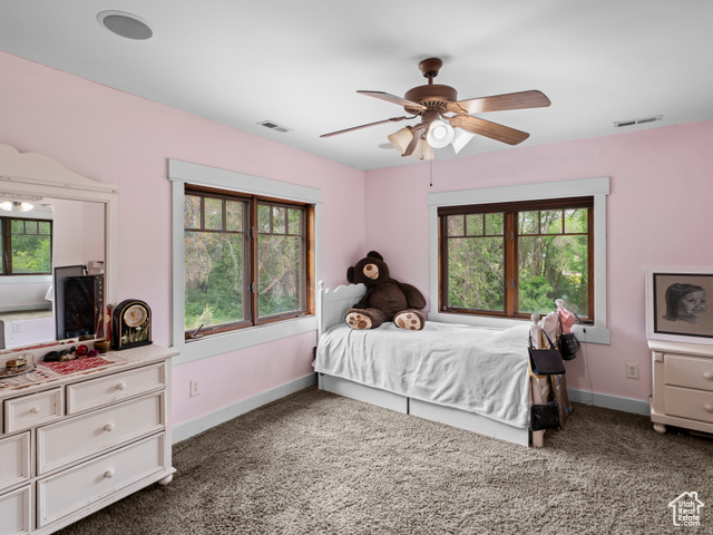 Photo 42 for MLS #2073429 at 5331 Sleepy Hollow Ln