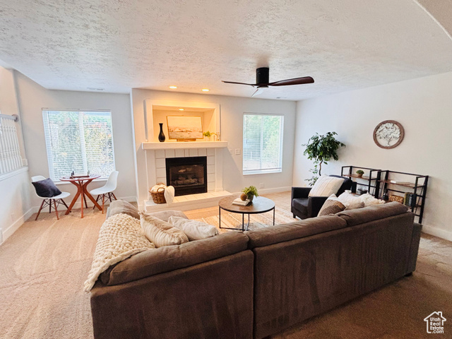 28 E 1400 N, Mapleton UT 84664