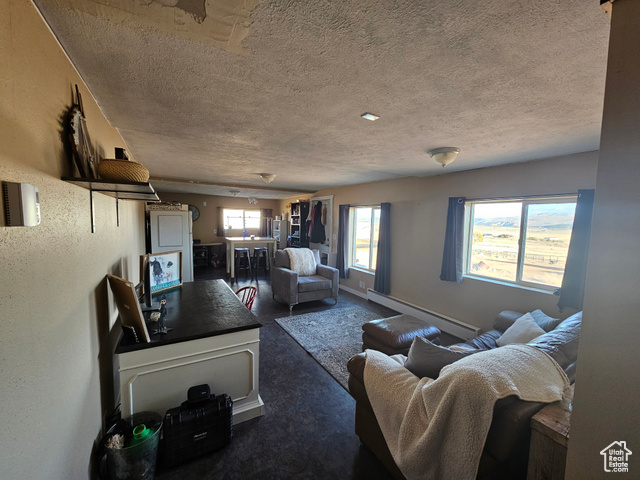 Photo 16 for MLS #2073962 at 46293 W 5000 South