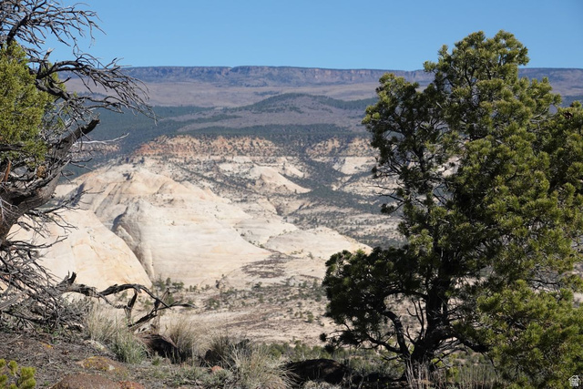 316 N PINION BRANCH NORTH DR, Boulder UT 84716