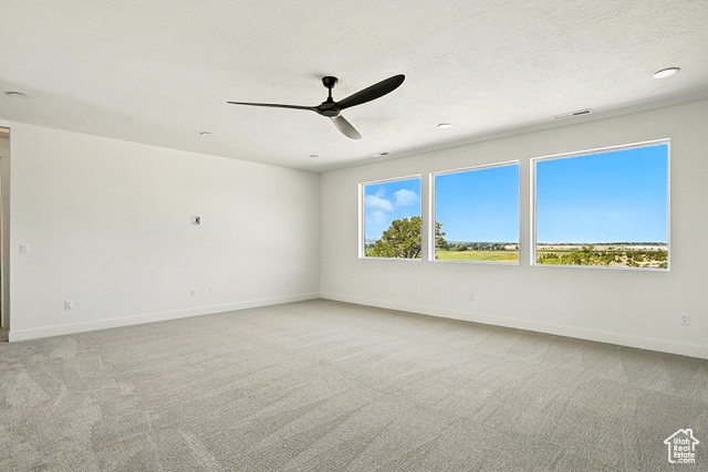Photo 23 for MLS #2074466 at 503 Renze Adams St