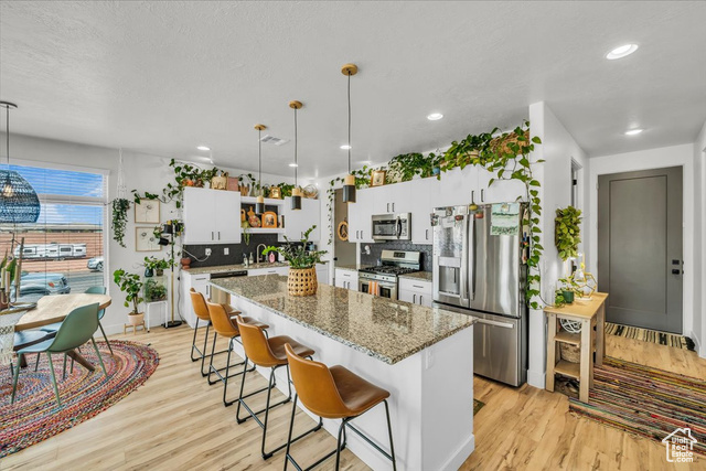 Photo 10 for MLS #2074897 at 687 S Guy Ln #1