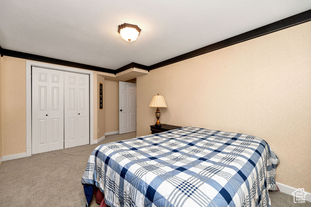 Photo 39 for MLS #2075003 at 240 Bugle Way