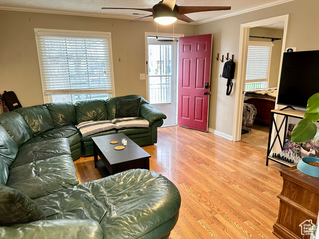 Photo 28 for MLS #2075518 at 2170 S Polk Ave