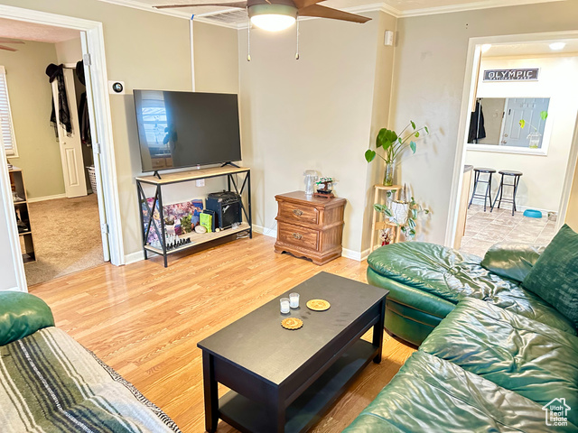 Photo 7 for MLS #2075518 at 2170 S Polk Ave