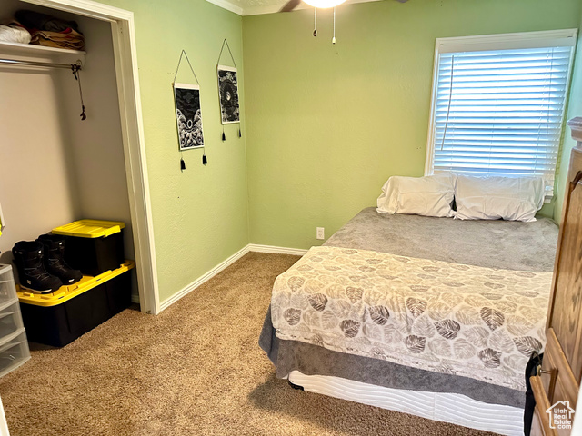 Photo 14 for MLS #2075518 at 2170 S Polk Ave