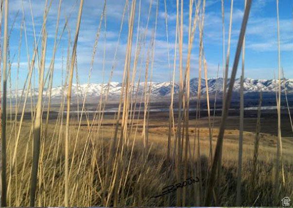 Photo 20 for MLS #2075955 at 2666 Valley Vw