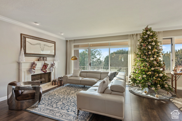 Photo 13 for MLS #2076658 at 819 N Juniperpoint Dr