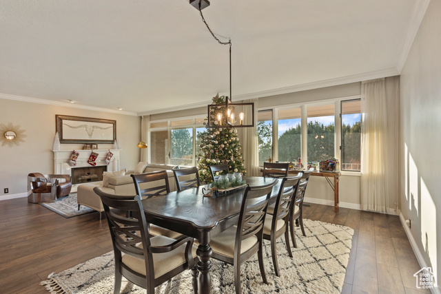 Photo 11 for MLS #2076658 at 819 N Juniperpoint Dr