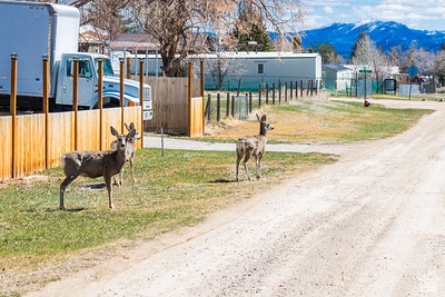 Photo 66 for MLS #2076845 at 48 E 2nd