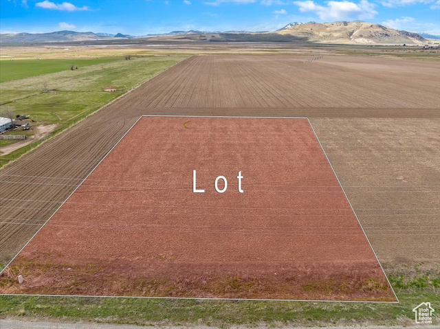 2076935.jpg