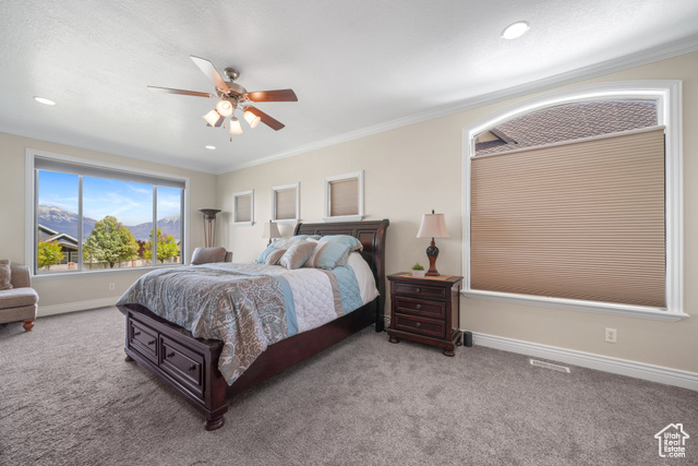 Photo 9 for MLS #2077027 at 3932 S Turnbuckle Rd