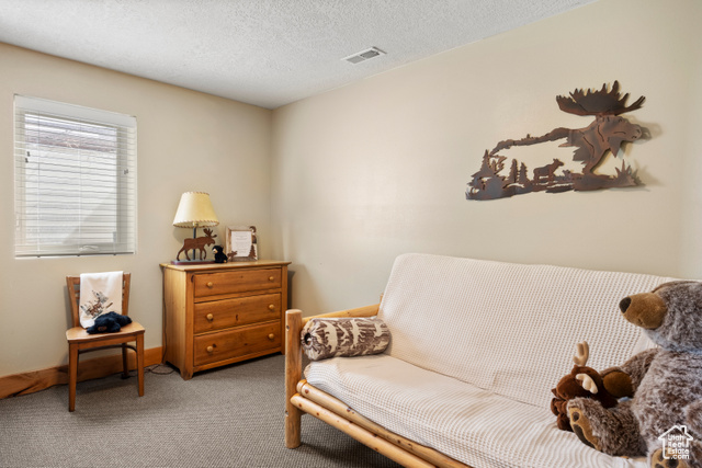Photo 37 for MLS #2077119 at 17 Wedge Way