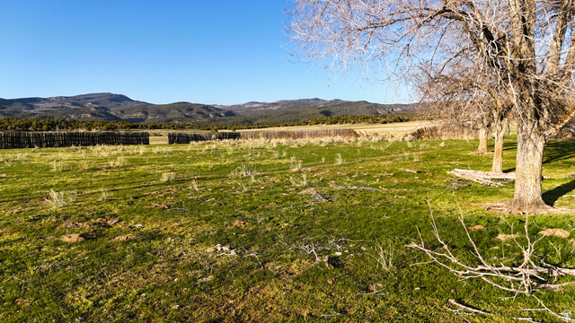 123 Tbd Forest Service Rd 640a (s, Gooseberry, UT 84654 — photo 6