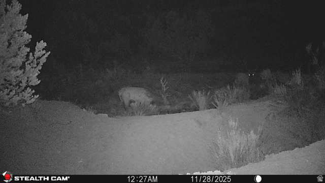 123 Tbd Forest Service Rd 640a (s, Gooseberry, UT 84654 — photo 10