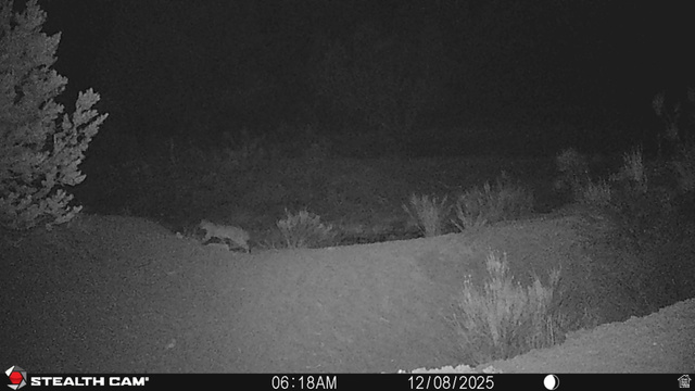 123 Tbd Forest Service Rd 640a (s, Gooseberry, UT 84654 — photo 12