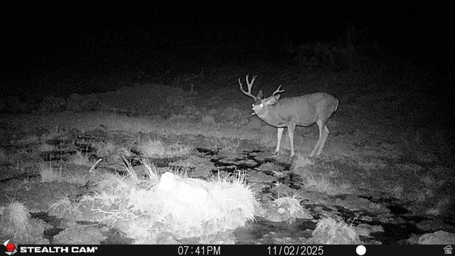 123 Tbd Forest Service Rd 640a (s, Gooseberry, UT 84654 — photo 9