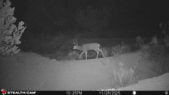 123 Tbd Forest Service Rd 640a (s, Gooseberry, UT 84654 — photo 11