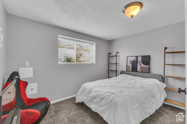 Photo 18 for MLS #2077412 at 11873 S Coles Camp Cir
